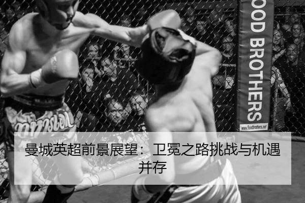 man-cheng-ying-chao-qian-jing-zhan-wang-wei-mian-zhi-lu-tiao-zhan-yu-ji-yu-bing-cun-2-750.jpg